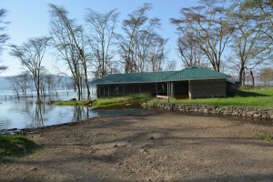 July 2013 - evidence of high water levels at the entrance of Nakuru Park